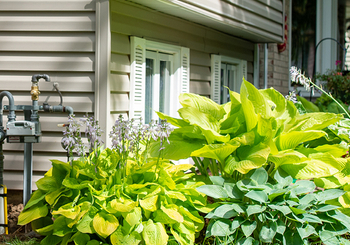 What should you do if you smell natural gas?  