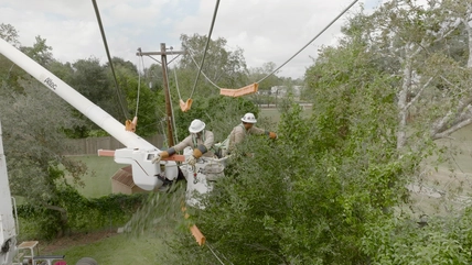 Contractors trimming vegetation near powerlines