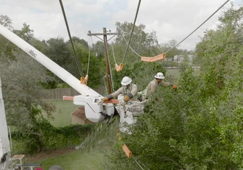 Contractors trimming vegetation near powerlines